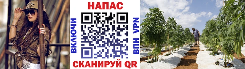 Купить наркотики Сасово Cocaine Меф ГАШИШ Бошки Шишки