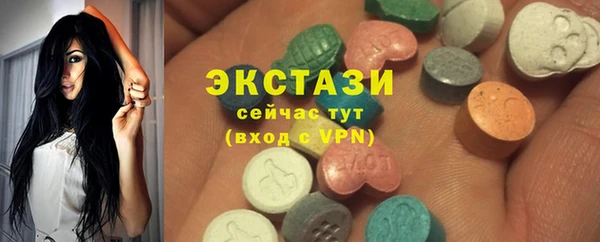 индика Саяногорск