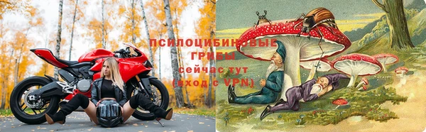 ПСИЛОЦИБИНОВЫЕ ГРИБЫ Куровское