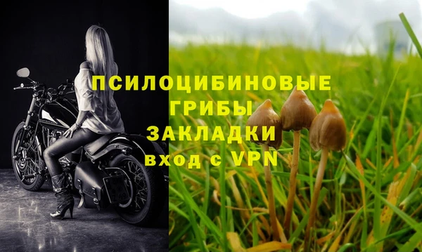 скорость Зерноград