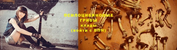 скорость Зерноград