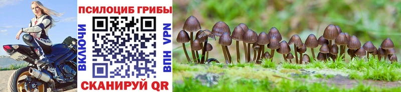 Псилоцибиновые грибы Cubensis  наркошоп  Сасово 